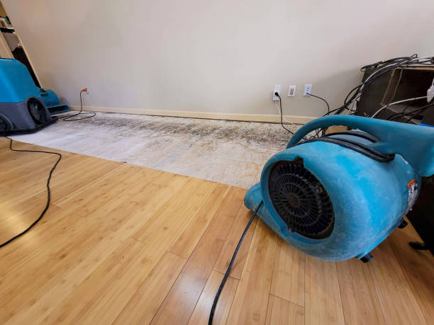 Professional Water Removal technician working in Gila Bend, AZ
